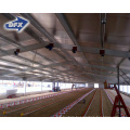 China low cost prefabricated mechanized steel structure poultry farm shed farming house for Philippines